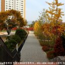 내손로~내손중앙로 이미지