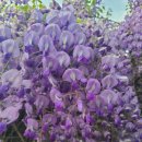 빛누리유치원 이미지