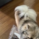 센텀신세계치과의원 이미지