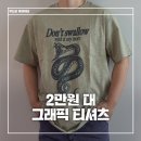 정그래픽 | 그래픽 반팔 추천ㅣ 엑스트라오디너리 SNAKE SWALLOW TEE BEIGE 솔직 후기
