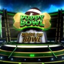 퍼피플래닛 이미지