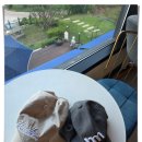 유미세탁 이미지