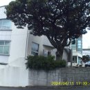 법환마을회관 이미지