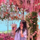 장미수퍼 | 제주도 여행 구좌 플라워카페 수퍼 플라워 미디어아트