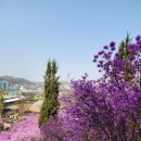 미꼬담 부천까치울점 이미지