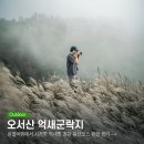 대바위 | 오서산 난이도 솔직 후기 쉰질바위에서 시작한 억새밭 최단 등산코스