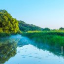 우포 따오기 구조 치료센터 | 창녕 우포늪에 따오기 복원센터가 생긴 이유는?