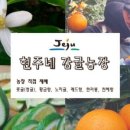 현주네농장 이미지