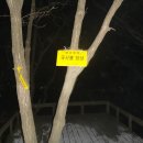 삼죽면사무소 이미지