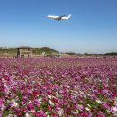 인천국제공항 하늘정원 내 이미지