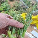 원순농장 이미지