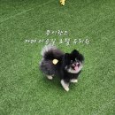 콩이랜드 이미지