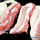 B12 이미지