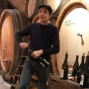 베흐 방(Vert Vin) | Domaine Labet