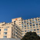 더엠 휘트니스 | 가성비 좋은 서귀포 호텔 1박 3만원대 제주호텔더엠 (The M)