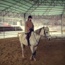 부안아리울승마장 이미지