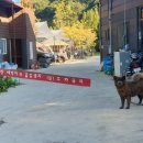 꿈꾸는 농부 오토캠핑장 이미지