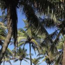 르네상스빌딩 앞 이미지