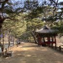 두꺼비 분식 이미지