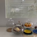 차홍농장 | 강릉 감성 카페 모어댄마벨 보이는 것보다 사진이 더 예뻐-