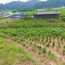 현진2농장 이미지