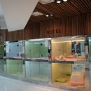 페토피아 동물병원 이미지