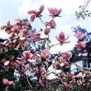 김*수 - 미추홀구 숙골로112번길 11 | 김*수