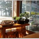 오대산가마솥식당 이미지