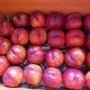 신선농장 이미지