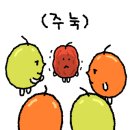 광코포차 이미지