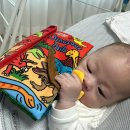 공룡주먹 | 졸리베이비 촉감발달장난감 공룡버젼 구매 후기 3개월 남아 장난감 추천