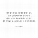 크린시스 이미지