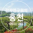 세류1 282 | 홍천여행 7월 8월 여름휴가때 가볼만한곳 척야산수목원 인생샷과 뷰맛집 경험후기