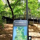 수락산 순환산책로 이미지