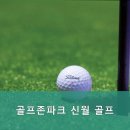 신월골프존 이미지