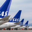 대목두레 이미지