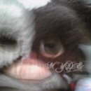 잭스로블 | VAMPS HELLWEEN LIVE 2009.10.29 후기