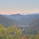 밥보 씨아전복 | 정읍 내장산 트레킹 가볼만한곳 추천 현지인 맛집 추천