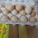 대조농장 이미지