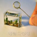 제일수족관 - 성동구 성수이로 29 | 제일수족관