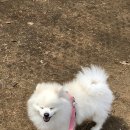 관교중학교(약수터)(37202) 네이버블로그