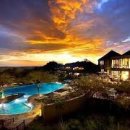 세렝게티 이미지