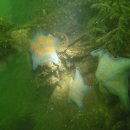 연안낚시터 이미지