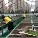 화명1동 주민센터 이미지