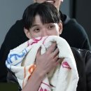 따우따우