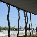 영남알프스 복합웰컴센터 알프스시네마(1,2관) 이미지