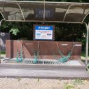 대흥사 서산대사박물관 이미지