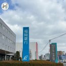 서민회도매 | 여행. 일본 후쿠오카 현지인 맛집. 80년전통 나가하마 선어시장 『오키요 おきよ 식당』 내돈내산 솔직후기