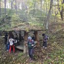 후기: 2025.11.01. 노란 생강나무 단풍 고운＜대티골 아름다운숲길＞과 백색 기둥숲＜죽파리 자작나무숲＞ 이미지