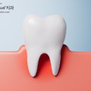 서울더원플러스치과